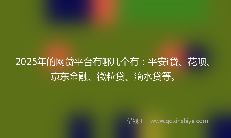 2025年的网贷平台有哪几个有：平安i贷、花呗、京东金融、微粒贷、滴水贷等。