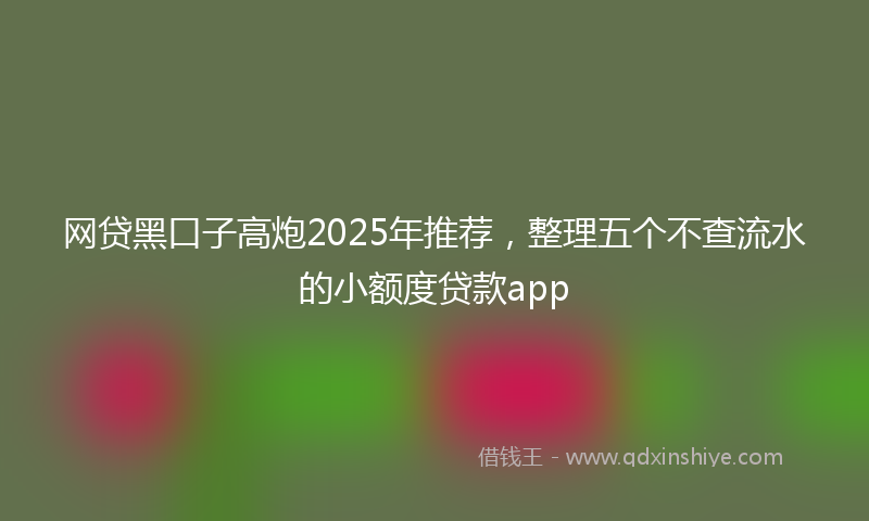 网贷黑口子高炮2025年推荐，整理五个不查流水的小额度贷款app