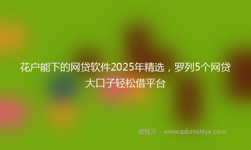 花户能下的网贷软件2025年精选，罗列5个网贷大口子轻松借平台