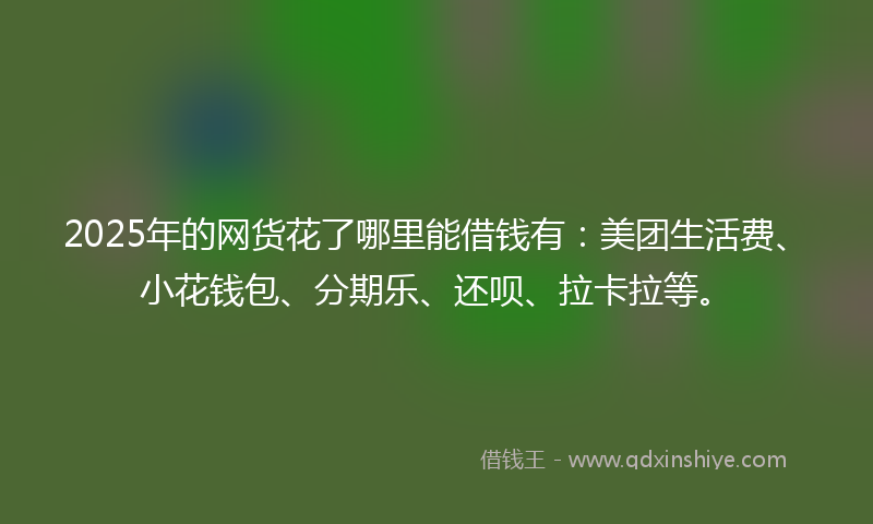 2025年的网货花了哪里能借钱有：美团生活费、小花钱包、分期乐、还呗、拉卡拉等。