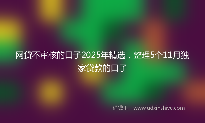 网贷不审核的口子2025年精选，整理5个11月独家贷款的口子