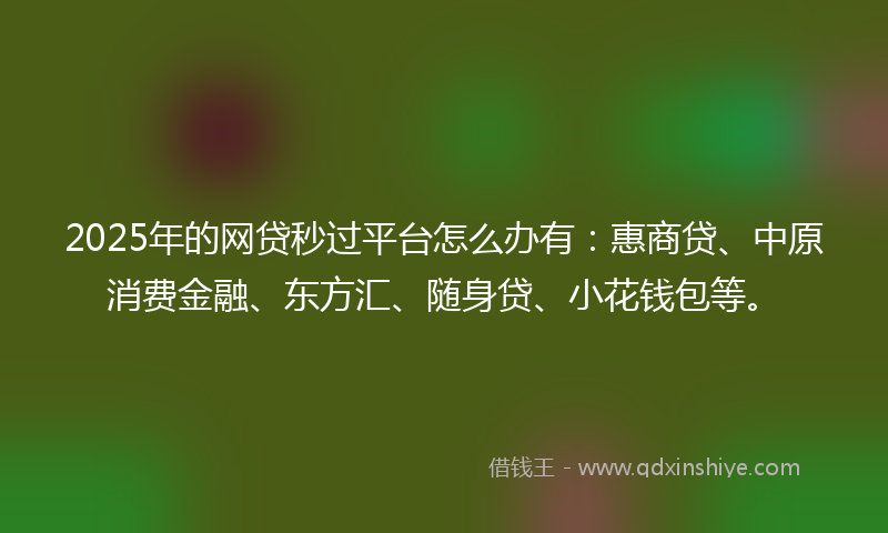 2025年的网贷秒过平台怎么办有：惠商贷、中原消费金融、东方汇、随身贷、小花钱包等。