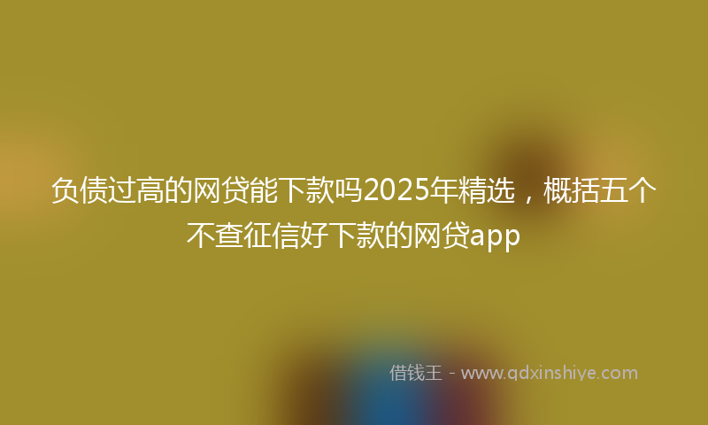 负债过高的网贷能下款吗2025年精选，概括五个不查征信好下款的网贷app