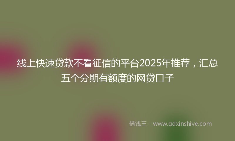 线上快速贷款不看征信的平台2025年推荐，汇总五个分期有额度的网贷口子