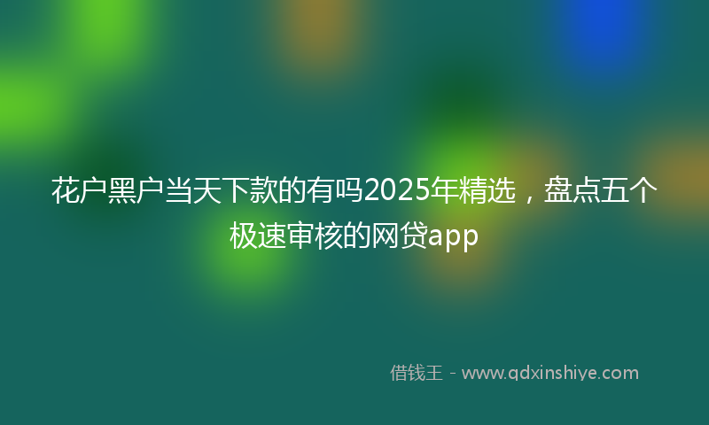 花户黑户当天下款的有吗2025年精选，盘点五个极速审核的网贷app