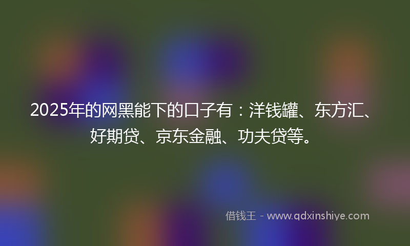 2025年的网黑能下的口子有：洋钱罐、东方汇、好期贷、京东金融、功夫贷等。