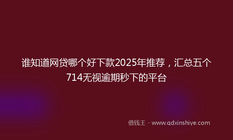 谁知道网贷哪个好下款2025年推荐，汇总五个714无视逾期秒下的平台
