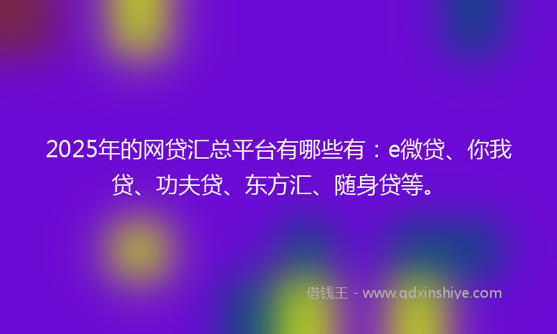 2025年的网贷汇总平台有哪些有：e微贷、你我贷、功夫贷、东方汇、随身贷等。