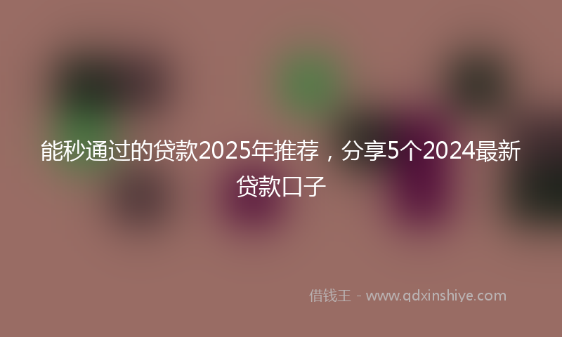 能秒通过的贷款2025年推荐，分享5个2024最新贷款口子