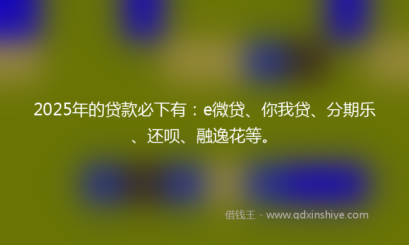 2025年的贷款必下有：e微贷、你我贷、分期乐、还呗、融逸花等。