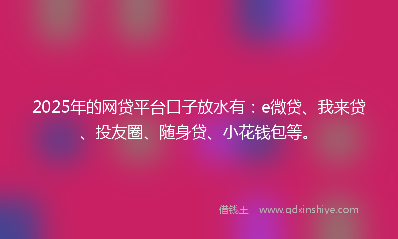 2025年的网贷平台口子放水有：e微贷、我来贷、投友圈、随身贷、小花钱包等。