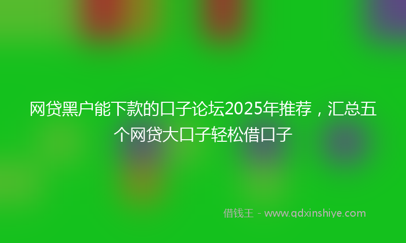 网贷黑户能下款的口子论坛2025年推荐，汇总五个网贷大口子轻松借口子