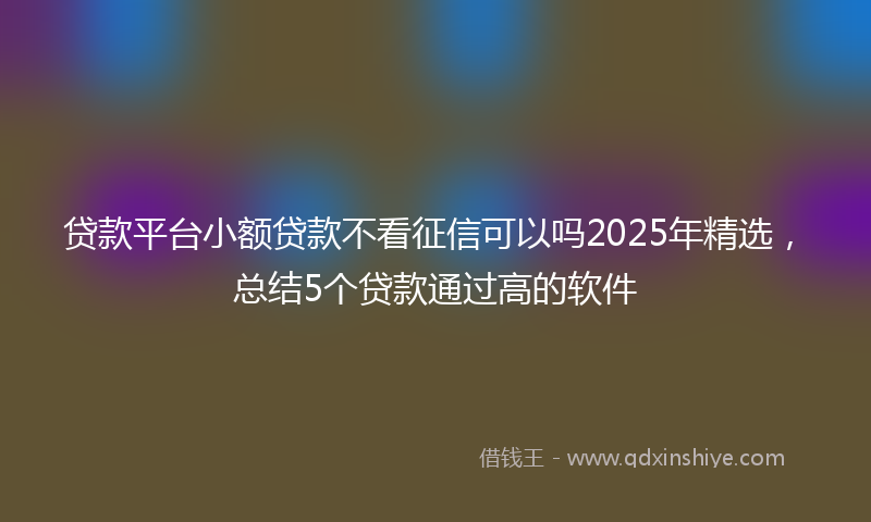 贷款平台小额贷款不看征信可以吗2025年精选，总结5个贷款通过高的软件