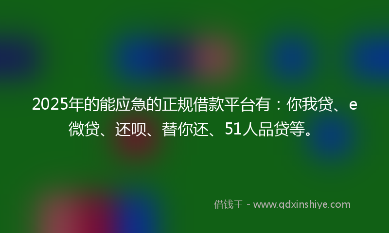 2025年的能应急的正规借款平台有：你我贷、e微贷、还呗、替你还、51人品贷等。