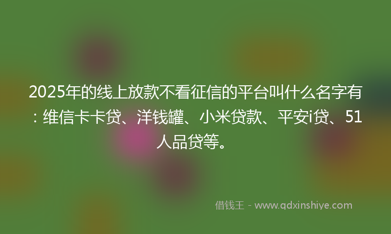2025年的线上放款不看征信的平台叫什么名字有：维信卡卡贷、洋钱罐、小米贷款、平安i贷、51人品贷等。