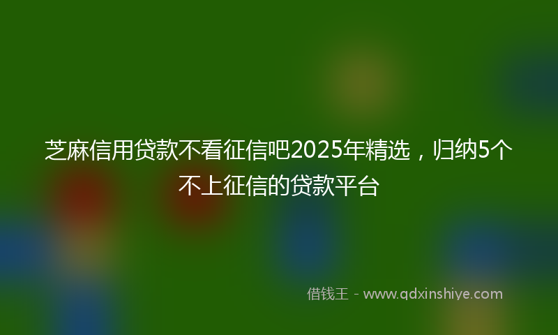 芝麻信用贷款不看征信吧2025年精选，归纳5个不上征信的贷款平台