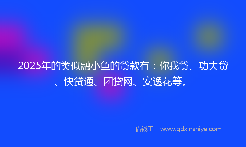 2025年的类似融小鱼的贷款有：你我贷、功夫贷、快贷通、团贷网、安逸花等。