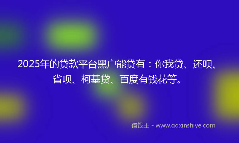 2025年的贷款平台黑户能贷有：你我贷、还呗、省呗、柯基贷、百度有钱花等。