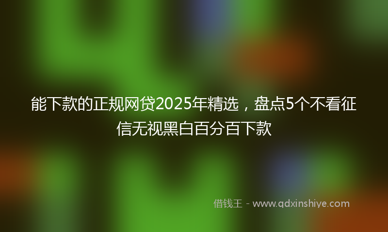 能下款的正规网贷2025年精选，盘点5个不看征信无视黑白百分百下款