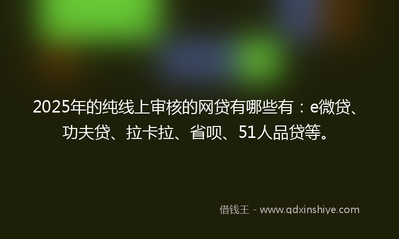2025年的纯线上审核的网贷有哪些有：e微贷、功夫贷、拉卡拉、省呗、51人品贷等。