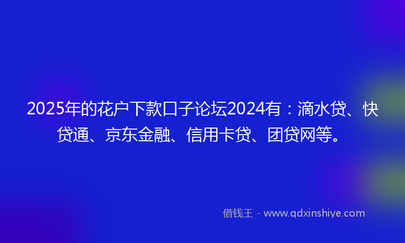 2025年的花户下款口子论坛2024有：滴水贷、快贷通、京东金融、信用卡贷、团贷网等。