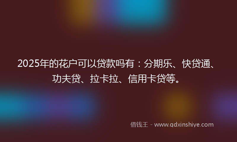 2025年的花户可以贷款吗有：分期乐、快贷通、功夫贷、拉卡拉、信用卡贷等。