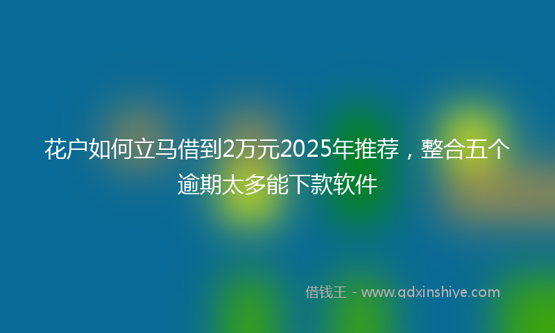 花户如何立马借到2万元2025年推荐，整合五个逾期太多能下款软件