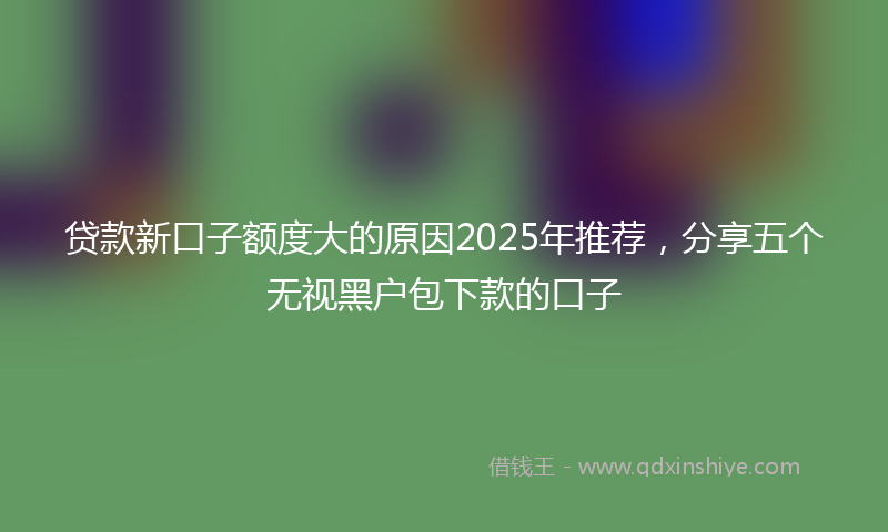 贷款新口子额度大的原因2025年推荐，分享五个无视黑户包下款的口子