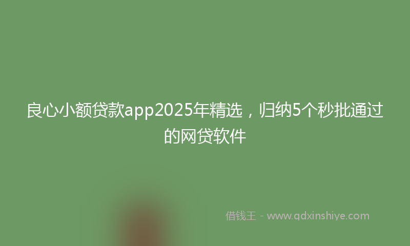 良心小额贷款app2025年精选，归纳5个秒批通过的网贷软件