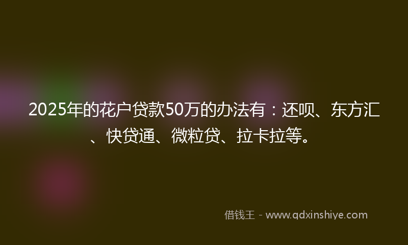 2025年的花户贷款50万的办法有:还呗、东方汇、快贷通、微粒贷、拉卡拉等。