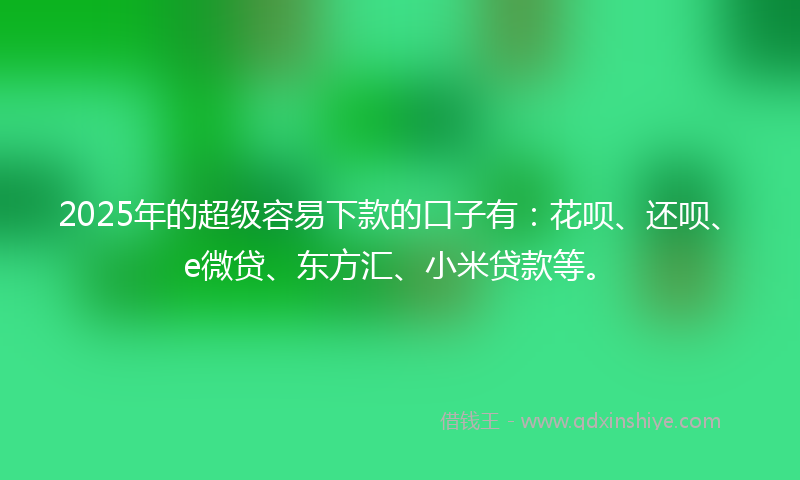 2025年的超级容易下款的口子有：花呗、还呗、e微贷、东方汇、小米贷款等。