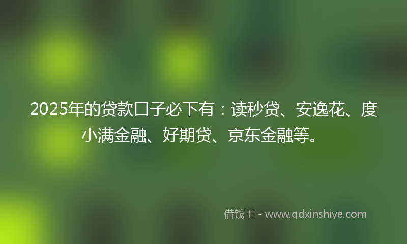 2025年的贷款口子必下有：读秒贷、安逸花、度小满金融、好期贷、京东金融等。
