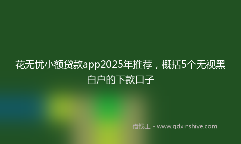 花无忧小额贷款app2025年推荐，概括5个无视黑白户的下款口子