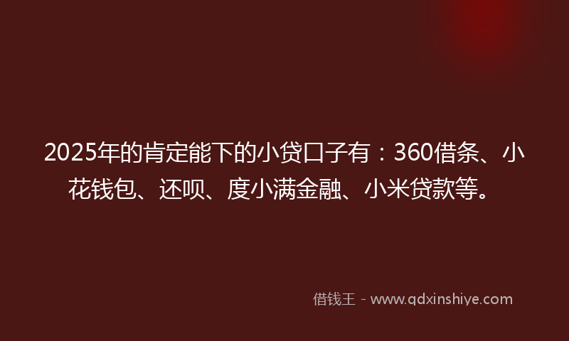 2025年的肯定能下的小贷口子有：360借条、小花钱包、还呗、度小满金融、小米贷款等。