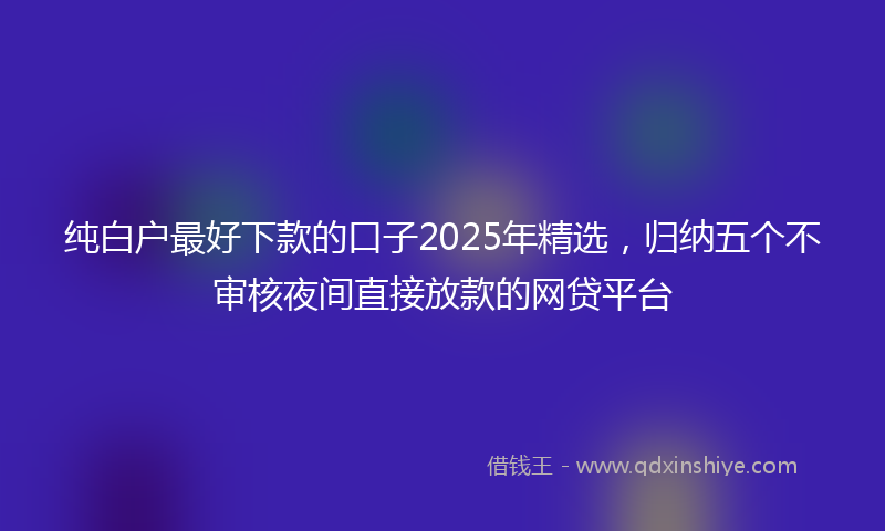 纯白户最好下款的口子2025年精选，归纳五个不审核夜间直接放款的网贷平台