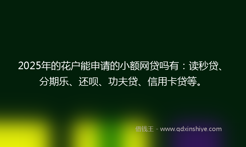 2025年的花户能申请的小额网贷吗有：读秒贷、分期乐、还呗、功夫贷、信用卡贷等。