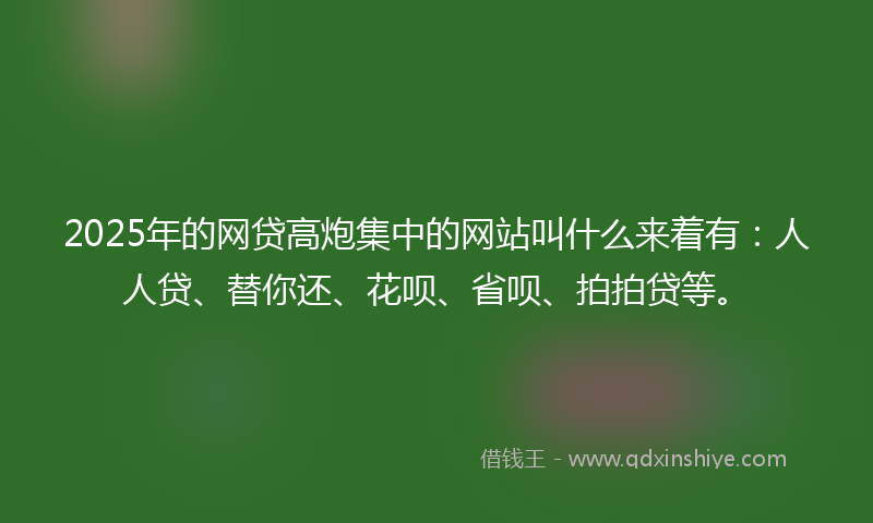 2025年的网贷高炮集中的网站叫什么来着有：人人贷、替你还、花呗、省呗、拍拍贷等。
