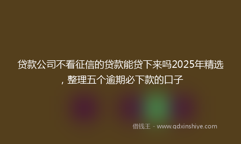 贷款公司不看征信的贷款能贷下来吗2025年精选，整理五个逾期必下款的口子