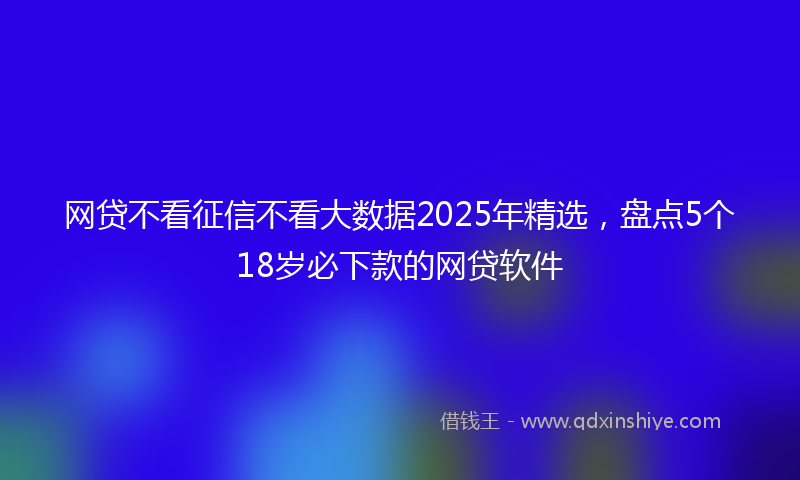 网贷不看征信不看大数据2025年精选，盘点5个18岁必下款的网贷软件