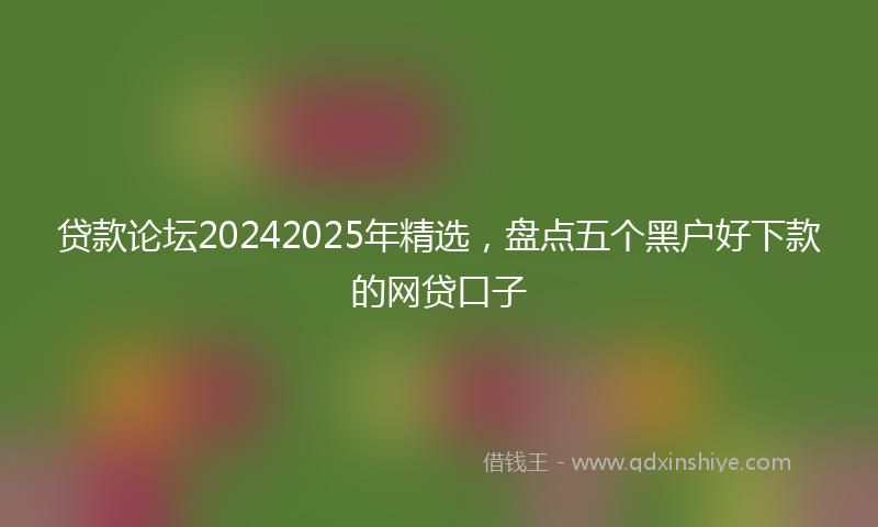贷款论坛20242025年精选，盘点五个黑户好下款的网贷口子