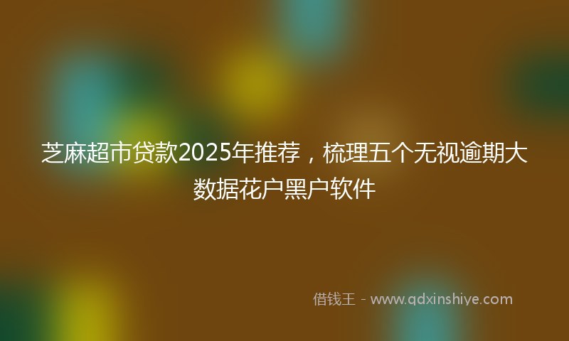 芝麻超市贷款2025年推荐，梳理五个无视逾期大数据花户黑户软件