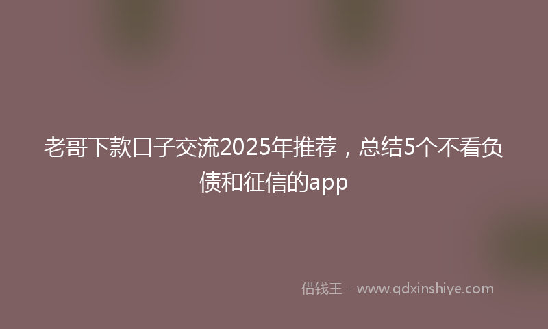 老哥下款口子交流2025年推荐，总结5个不看负债和征信的app