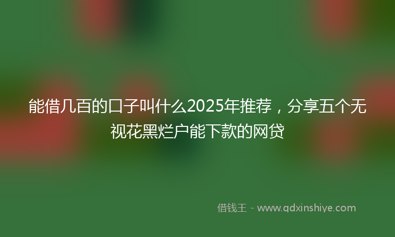 能借几百的口子叫什么2025年推荐，分享五个无视花黑烂户能下款的网贷
