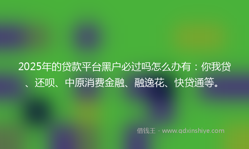 2025年的贷款平台黑户必过吗怎么办有：你我贷、还呗、中原消费金融、融逸花、快贷通等。