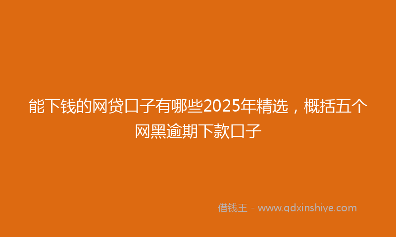 能下钱的网贷口子有哪些2025年精选，概括五个网黑逾期下款口子