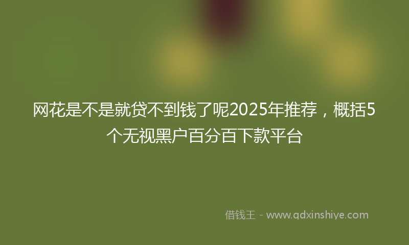 网花是不是就贷不到钱了呢2025年推荐，概括5个无视黑户百分百下款平台