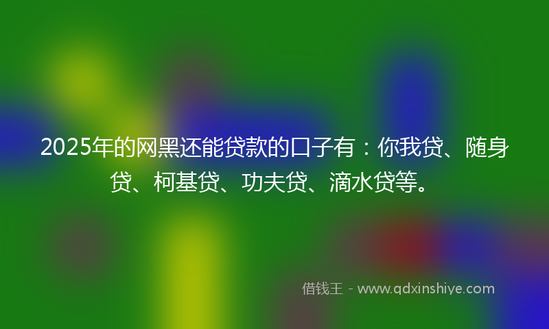 2025年的网黑还能贷款的口子有：你我贷、随身贷、柯基贷、功夫贷、滴水贷等。