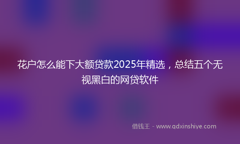 花户怎么能下大额贷款2025年精选，总结五个无视黑白的网贷软件