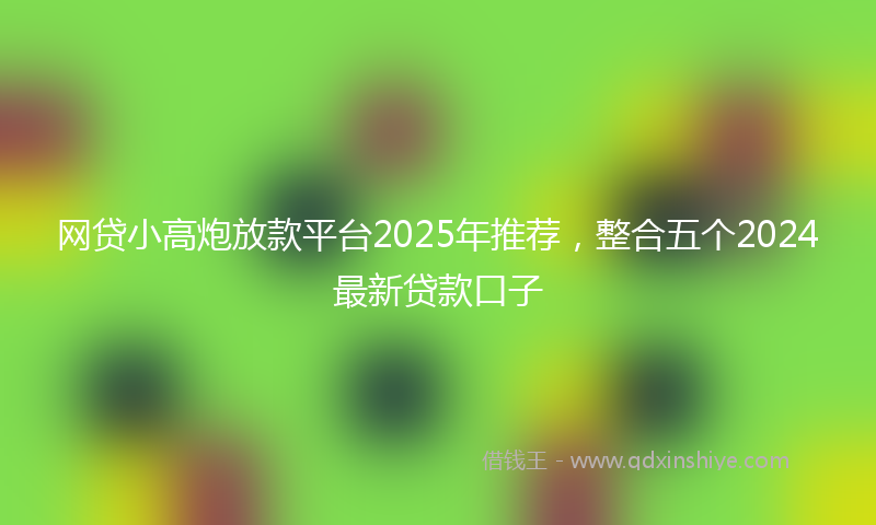 网贷小高炮放款平台2025年推荐，整合五个2024最新贷款口子
