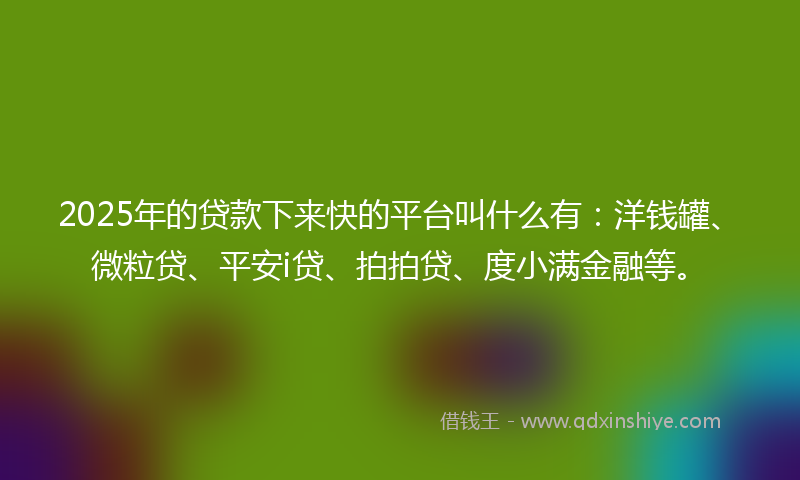 2025年的贷款下来快的平台叫什么有：洋钱罐、微粒贷、平安i贷、拍拍贷、度小满金融等。